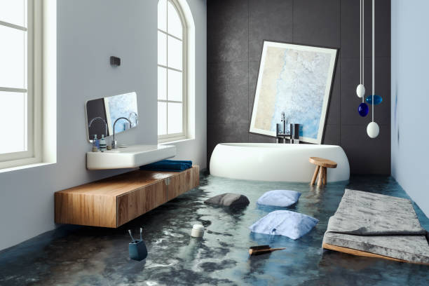 Best Water damage contractors near me  in Lihue, HI