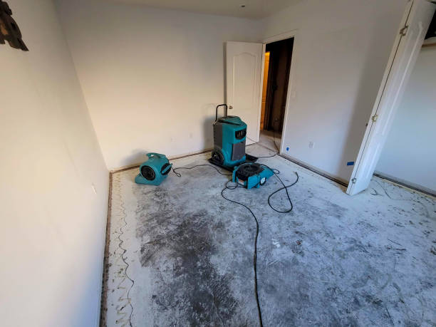 Best Basement water damage restoration  in Lihue, HI