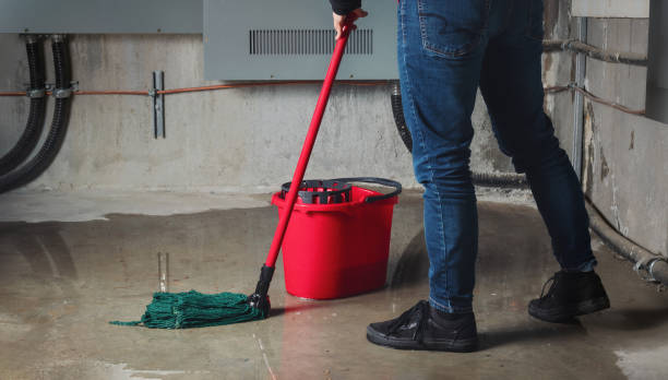 Best Flood restoration services  in Lihue, HI