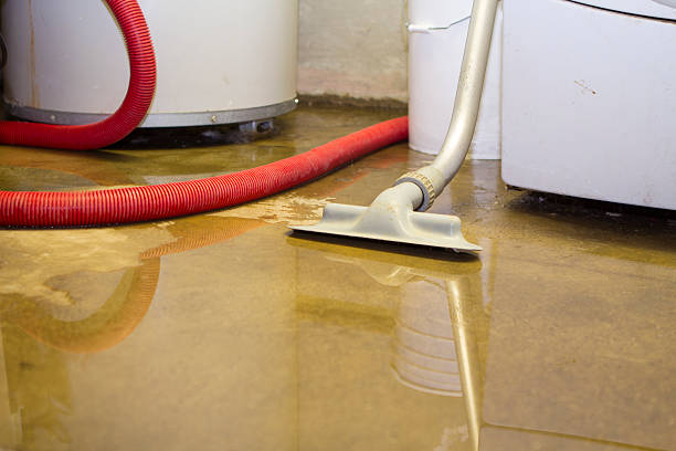 Best Emergency water damage restoration  in Lihue, HI