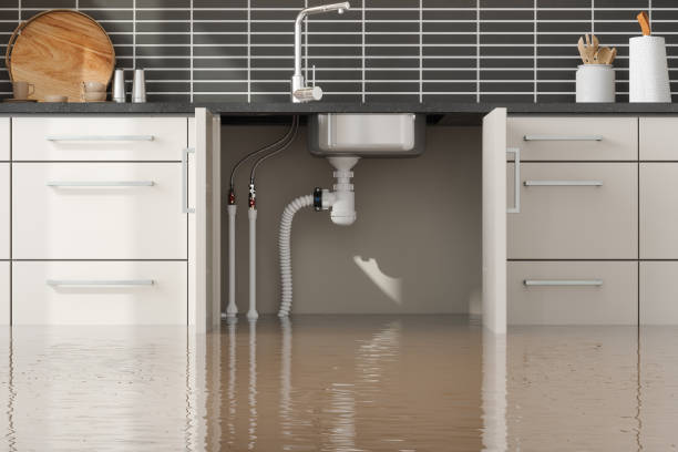 Best Local water damage restoration  in Lihue, HI