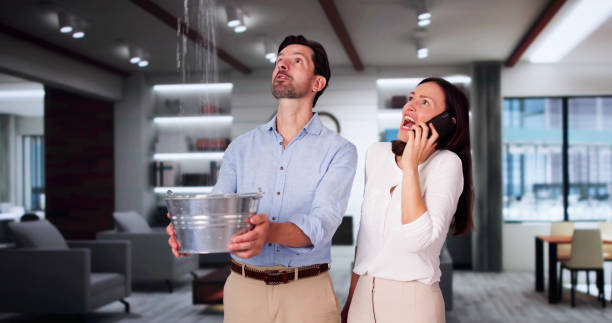 Best Water damage restoration services  in Lihue, HI