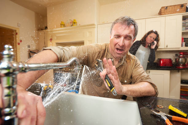 Best Flooded house restoration  in Lihue, HI